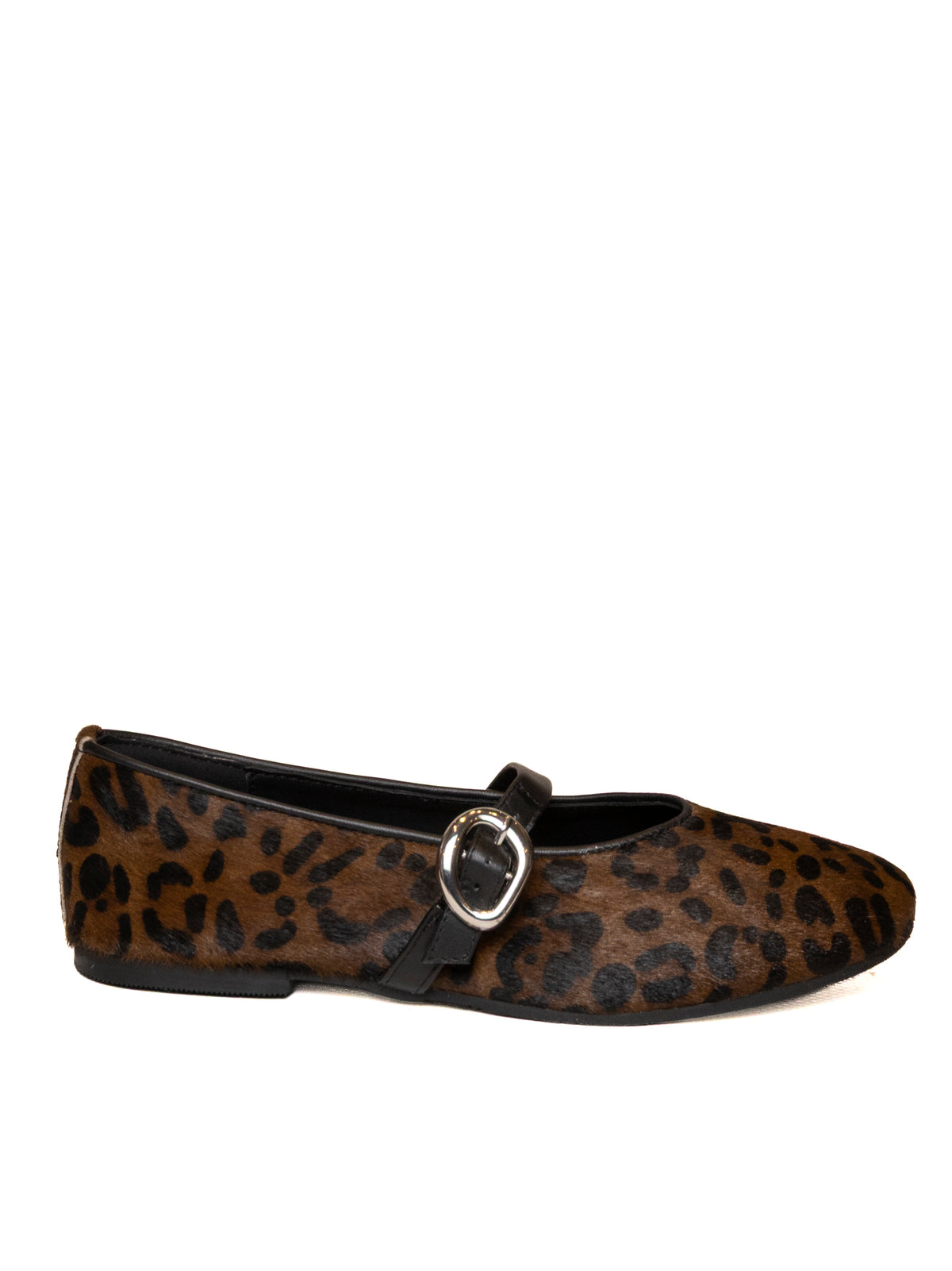 GIOSEPPO 80008 CAV-LEOPARDO