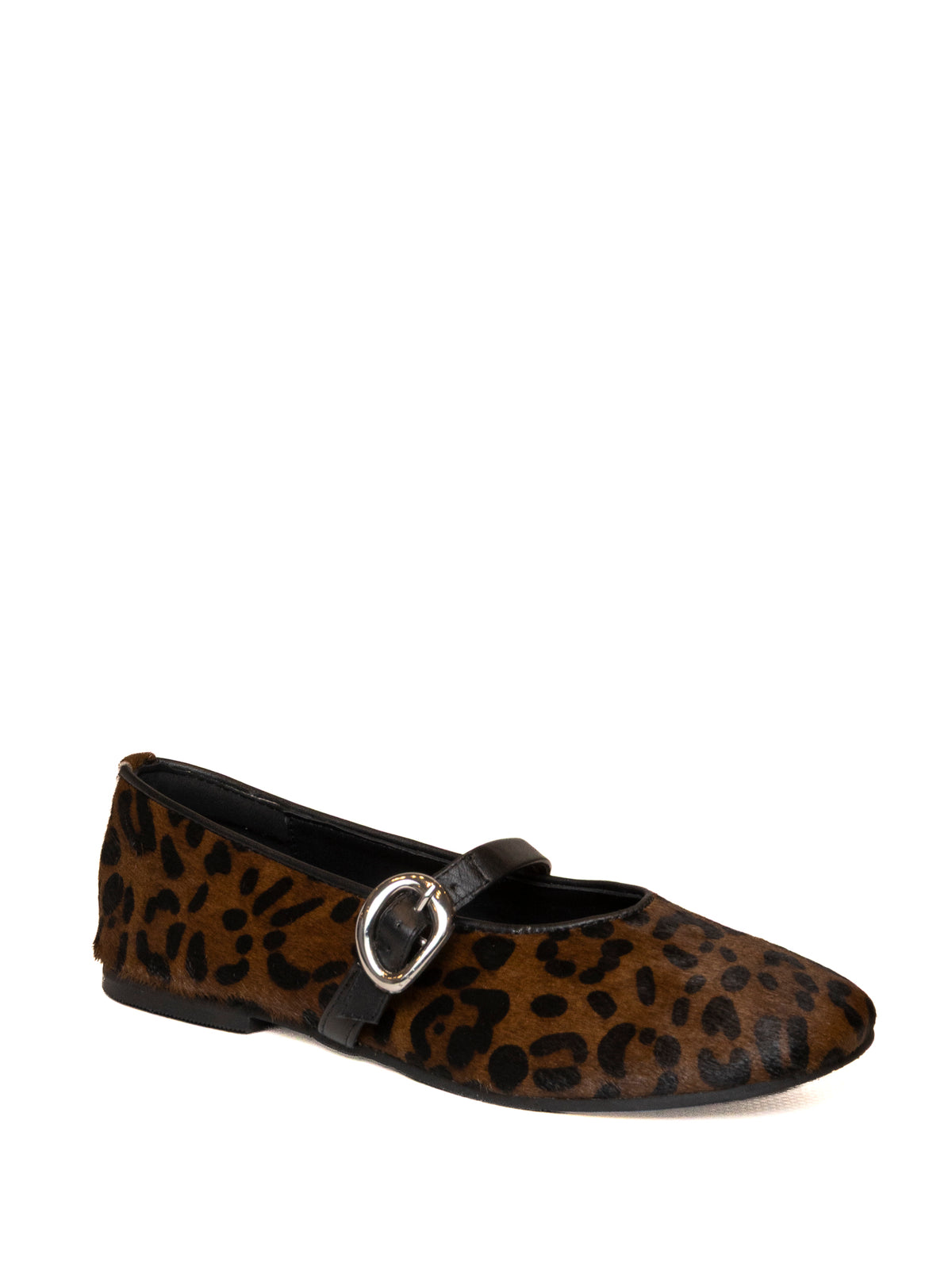 GIOSEPPO 80008 CAV-LEOPARDO