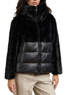 BLAUER  C02304 FANEVIL-999 
