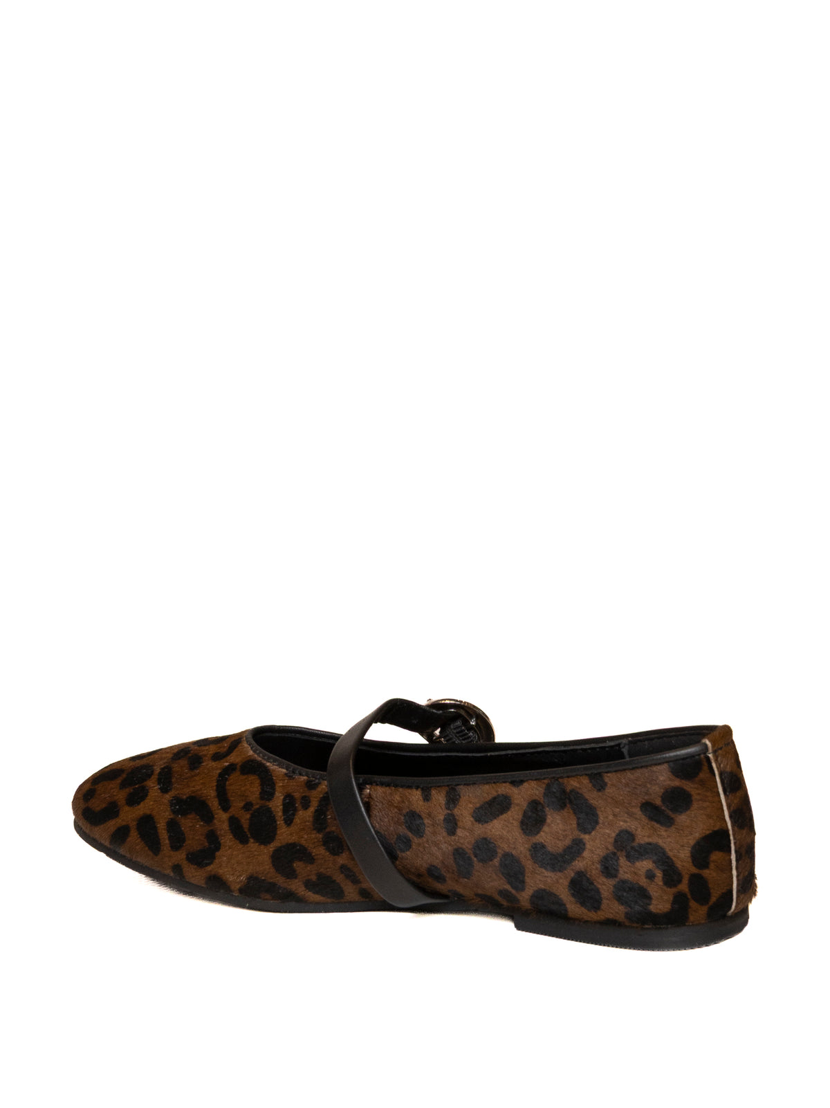 GIOSEPPO  80008 CAV-LEOPARDO 