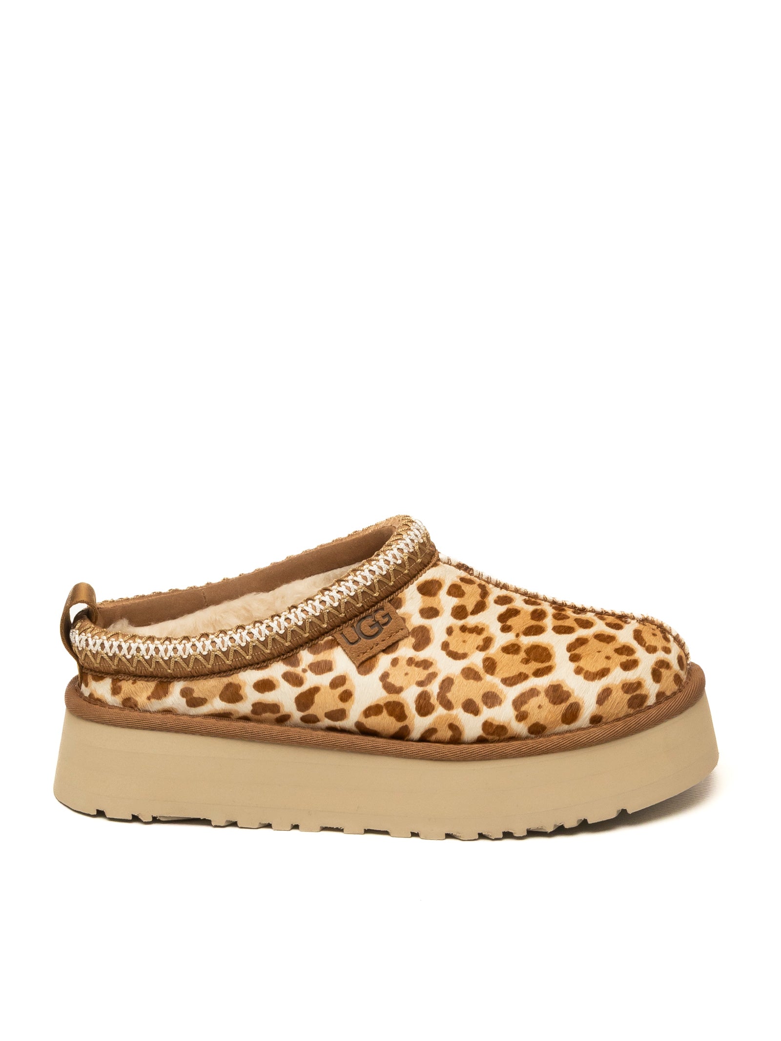 UGG  TAZZ-PLAINS MONT-FDJ 