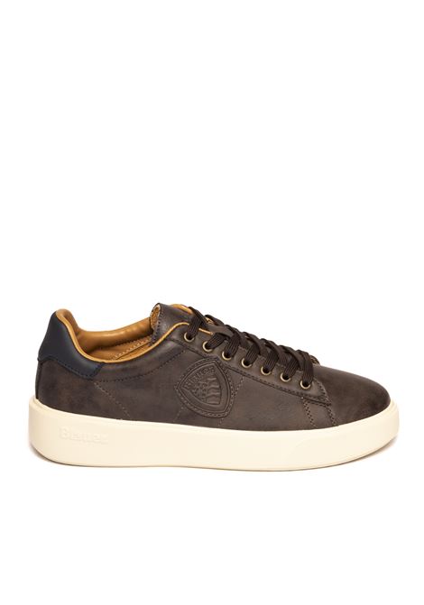 D.brown/navy