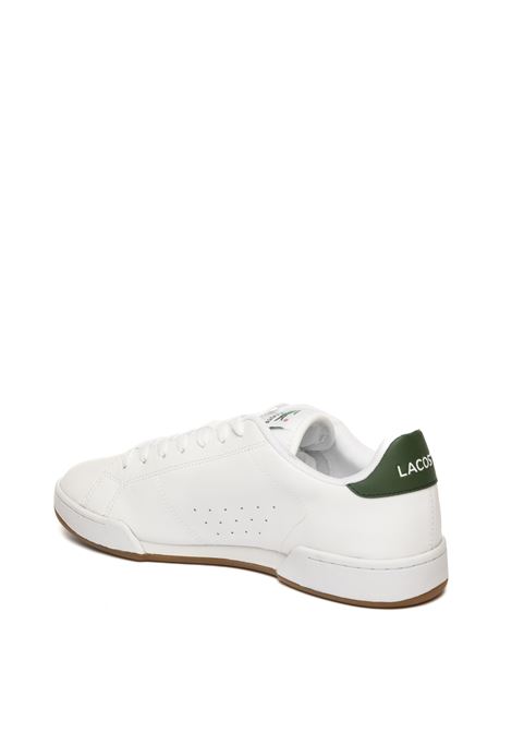  LACOSTE | E03309CARNABY-1R5