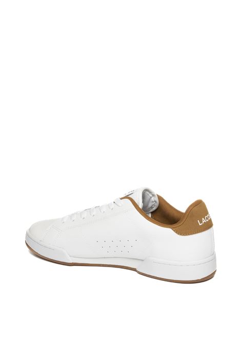  LACOSTE | I03605CARBABY-385