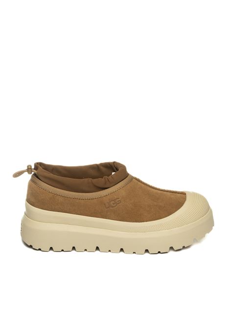  UGG | TASMANHYBRIDMONT-CWTC