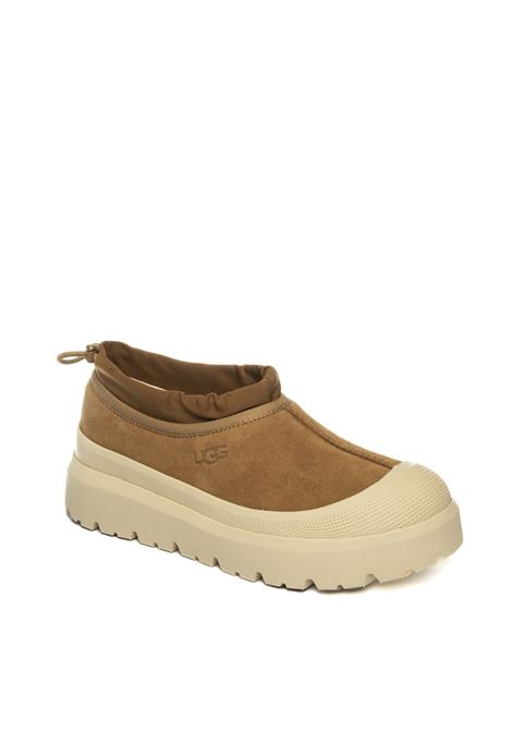  UGG | TASMANHYBRIDMONT-CWTC
