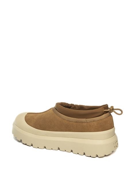  UGG | TASMANHYBRIDMONT-CWTC