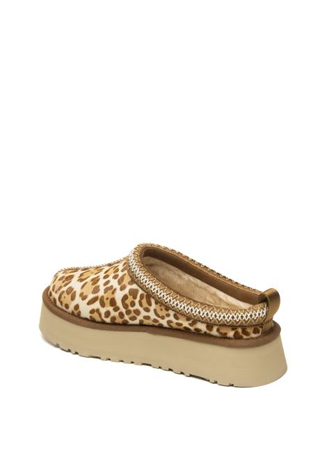  UGG | TAZZ-PLAINSMONT-FDJ