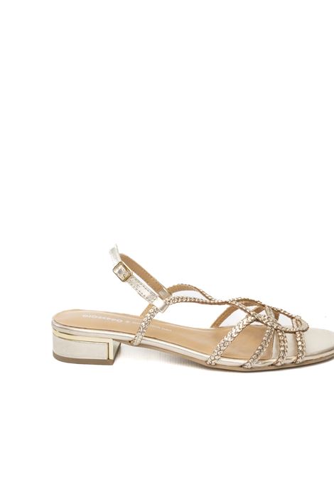  GIOSEPPO | 74333POWNAL-PLATINO
