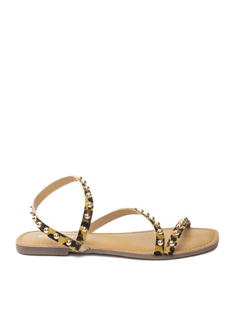  GIOSEPPO | 75447OGEMA-LEO