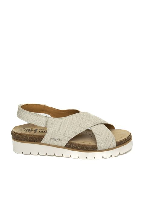  MEPHISTO | TALLYHARLEM-62580