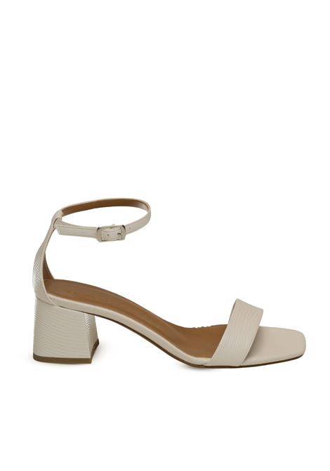 t50 ALBANO | 418PELLE-BIA