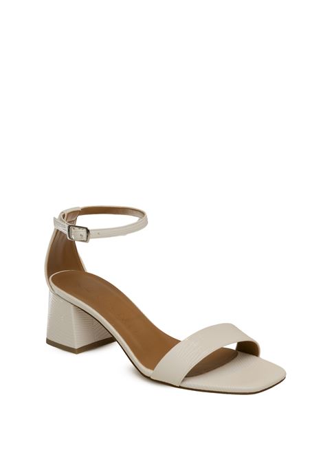 t50 ALBANO | 418PELLE-BIA