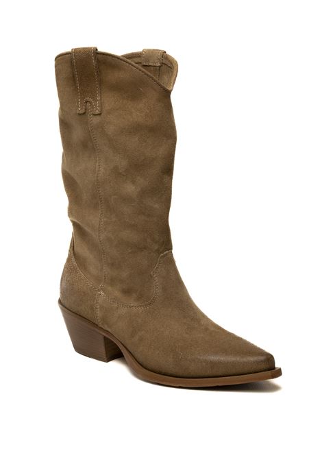  UP44 | DX220SINGR-TORTORA