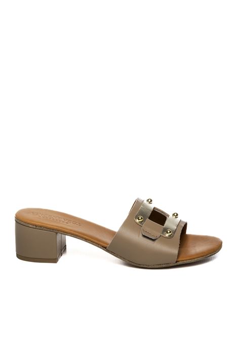 Taupe